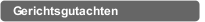 Gerichtsgutachten