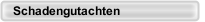 Schadengutachten