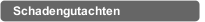 Schadengutachten